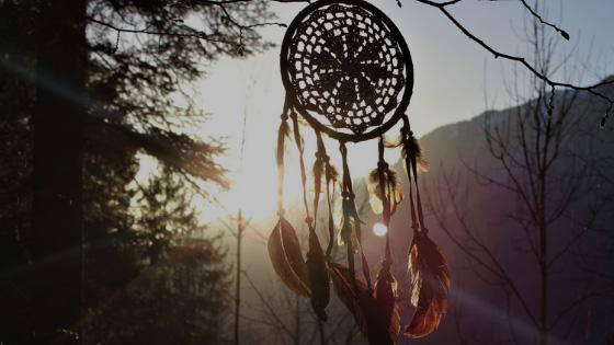 A Shamanic Healer’s Guide to Dreamcatchers; History, Origins, and 4 Modern Uses