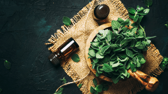 4-Latest-Trends-in-Essential-Oils-for-Health-and-Wellness Chad McMillan