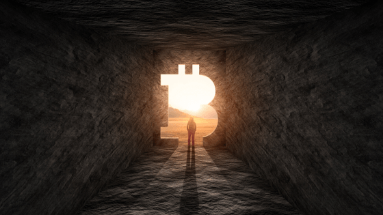 How-to-Invest-in-Cryptocurrency-and-Technology-like-Bitcoin-Ethereum-and-Blockchain. Chad McMillan