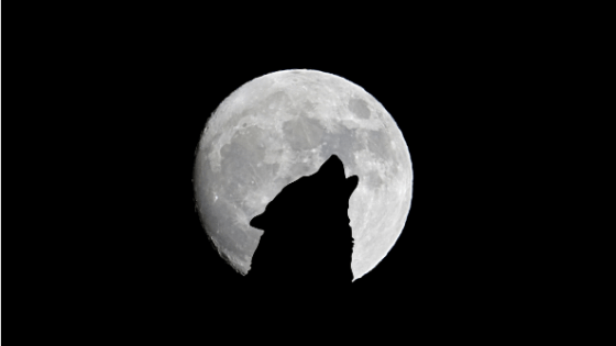 How-to-Stay-Chill-During-a-Full-Moon Chad McMillan