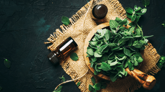 Aromatherapy | Essential Oils