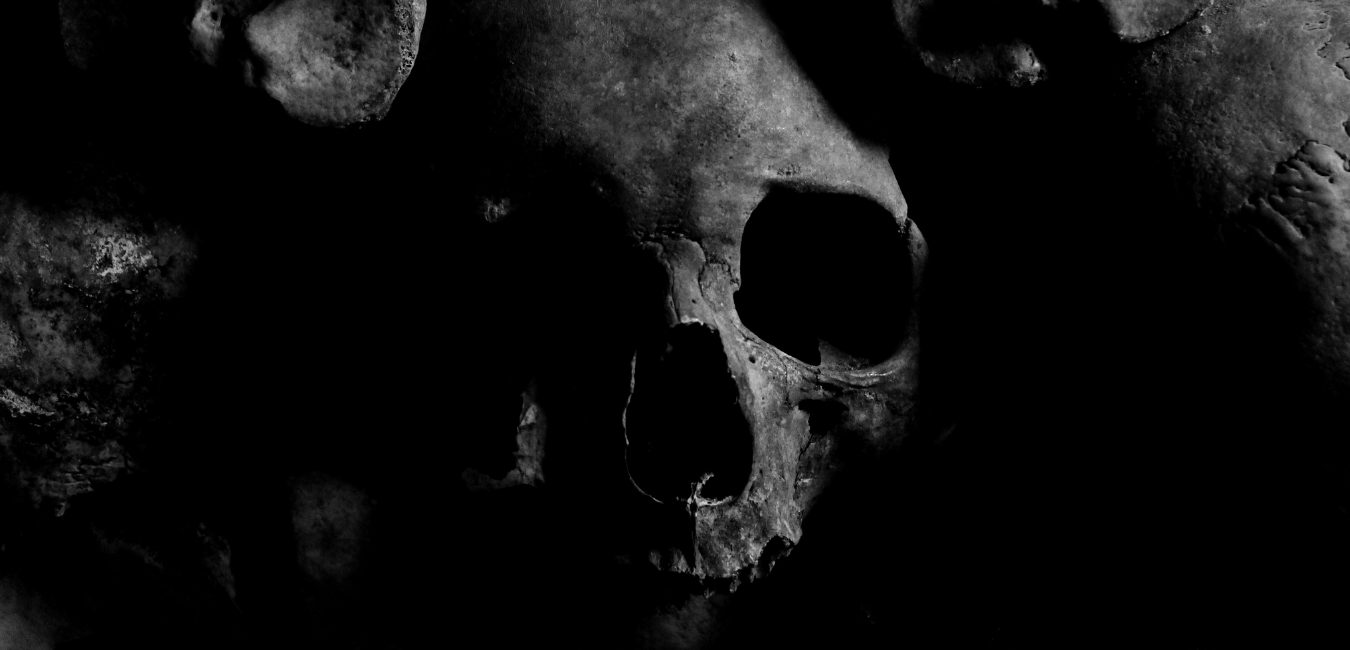 Skulls