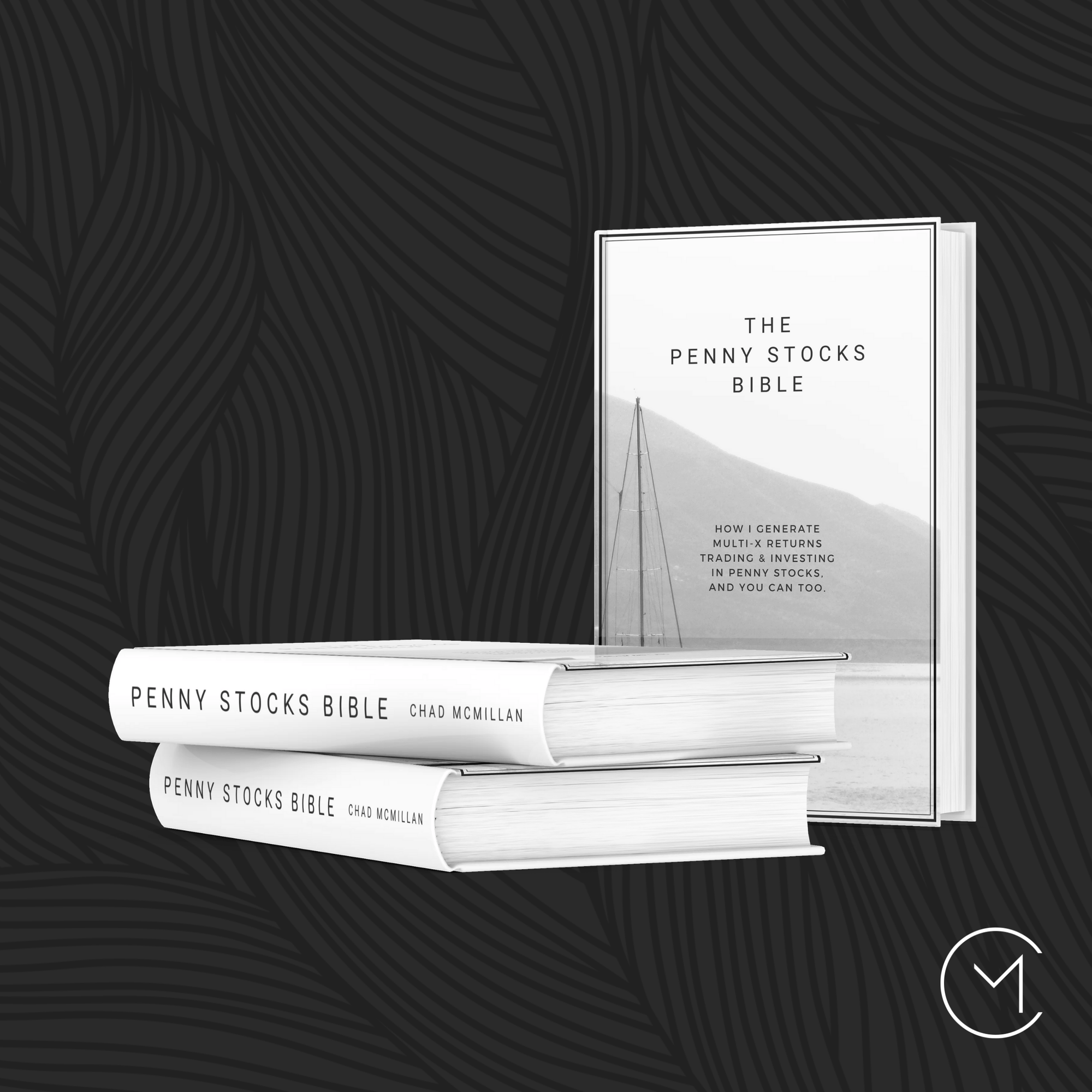 The Penny Stocks Bible | An Introduction to Penny Stocks Investing for Beginners (written by a seasoned insider)
